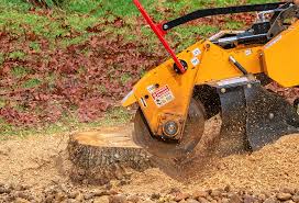 Best Grass Overseeding  in Rock Hill, NY